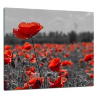 SZKLANA PŁYTA OCHRONNA DO KUCHNI 65x60