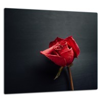 SZKLANA PŁYTA OCHRONNA DO KUCHNI 65x60