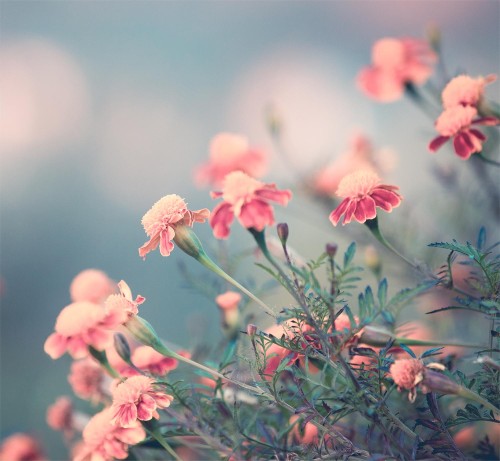 61f7c5d593836a17dcdddd447aab3903