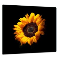 SZKLANA PŁYTA OCHRONNA DO KUCHNI 65x60