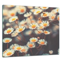 SZKLANA PŁYTA OCHRONNA DO KUCHNI 65x60