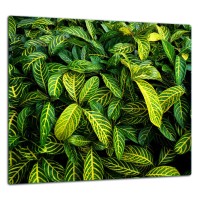 SZKLANA PŁYTA OCHRONNA DO KUCHNI 65x60