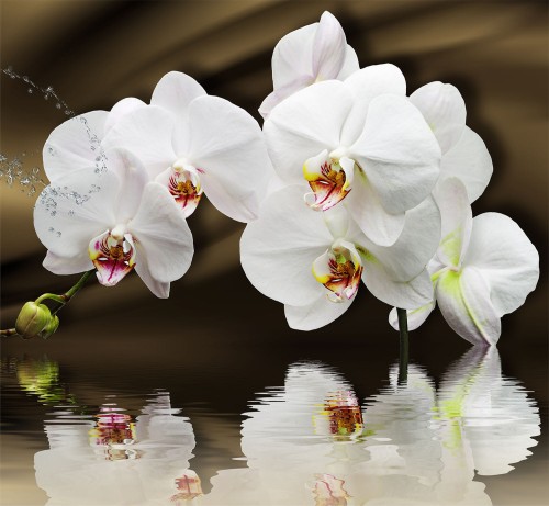 5ff71b75bc1f93c32a6591dfd9e9f003