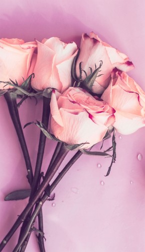 ee1d60ca769b9fe63bf74fb39356b793