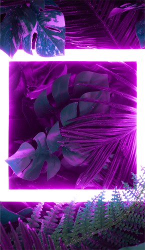25e8baf82f064ba3c31cde0cb169e6dc