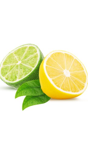 50e7d1c7e13a551f42818e3a47d7573b