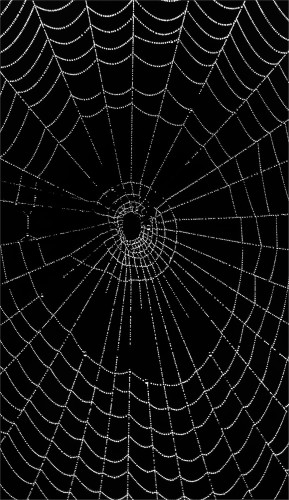 4c07f6e8d4c870e357c1ca80b9ad0079