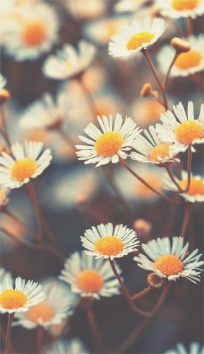 67f9316c490e8de885f407a128bf6bee