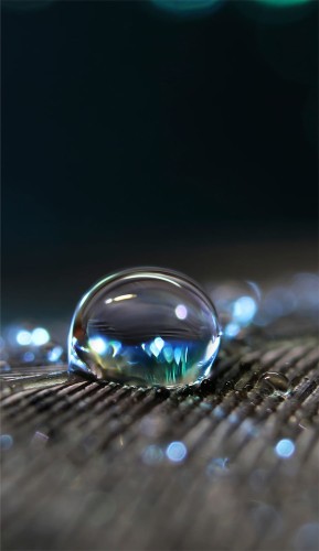 63f9ba4d111847659866c7b5b881677d