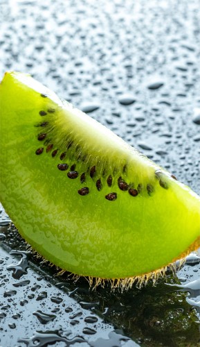 e7ad890b63169378f5a8b2ec40ee9db1