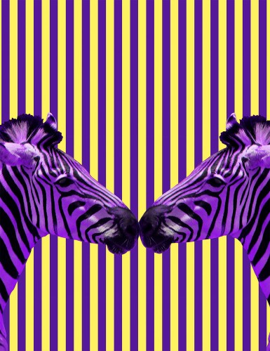 b2d9b85d74de3628aa36a09e0d1778b8
