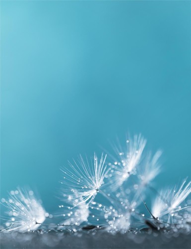 d1bc082966afceb14836d0838ed870b5