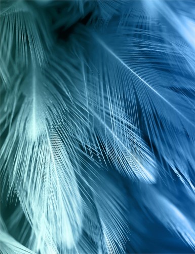 34ac51be7a6cfa682a376e02cc92d95a